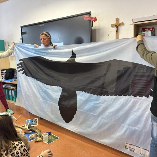 Wasserschule