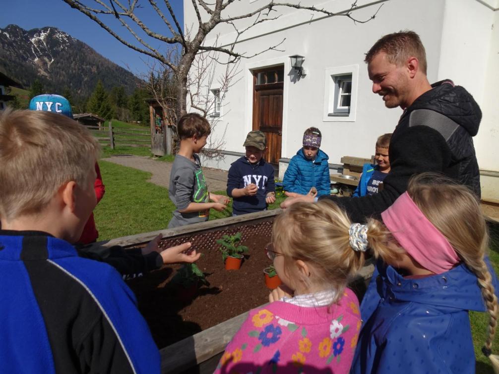 Beim Kartoffelsetzen im Schulgarten