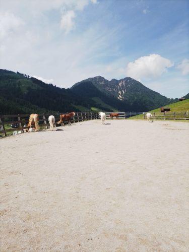 Kienzenhof