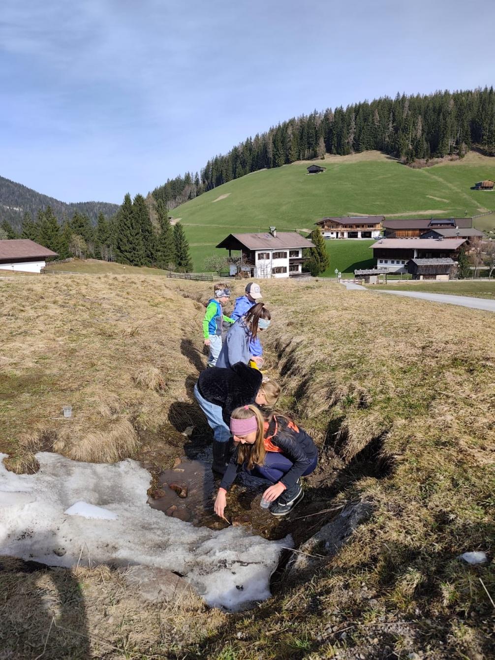 Bild3