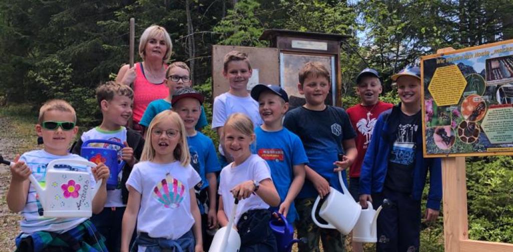 Beim Bienenstock-Schaukasten