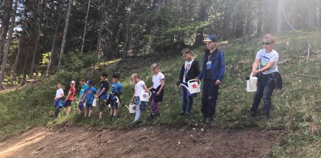 Kinder beim Gießen der Blumenwiese