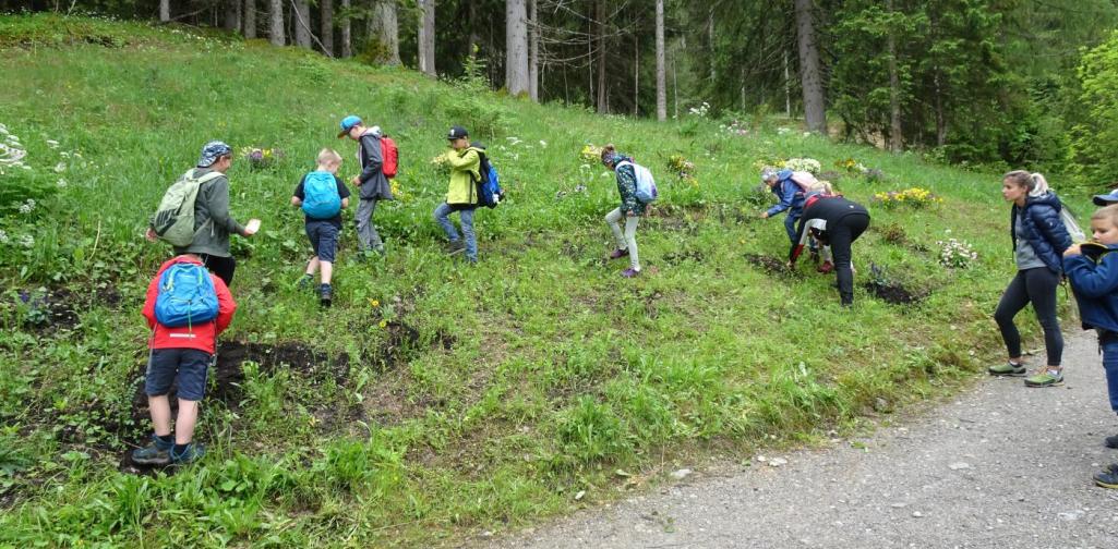 Waldtag in Thierbach