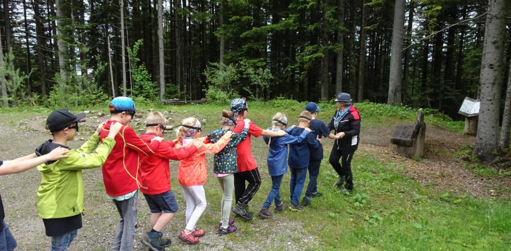 Waldtag in Thierbach